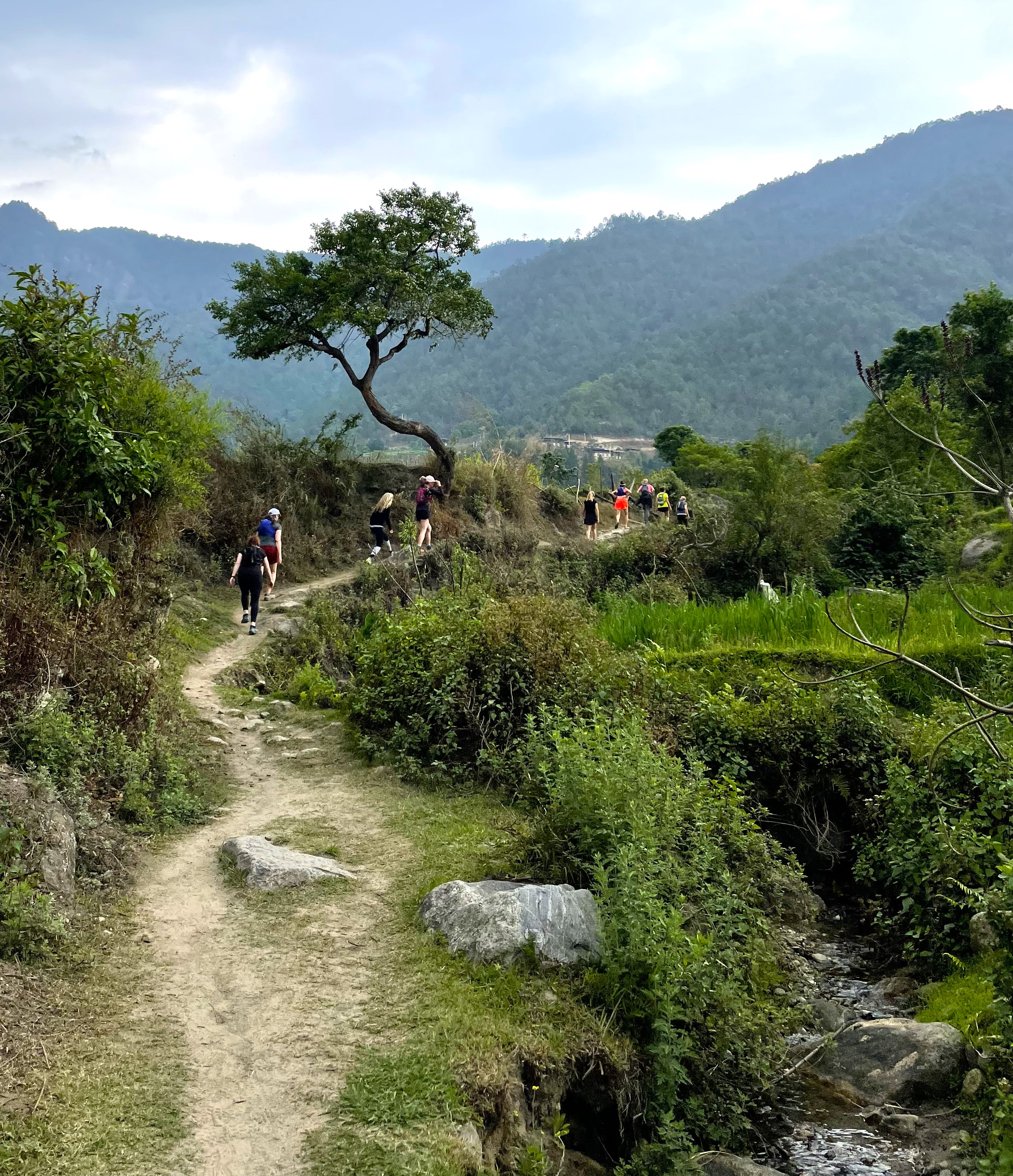 village of Punakha and verdant rice fields to the Temple of the Divine Madman