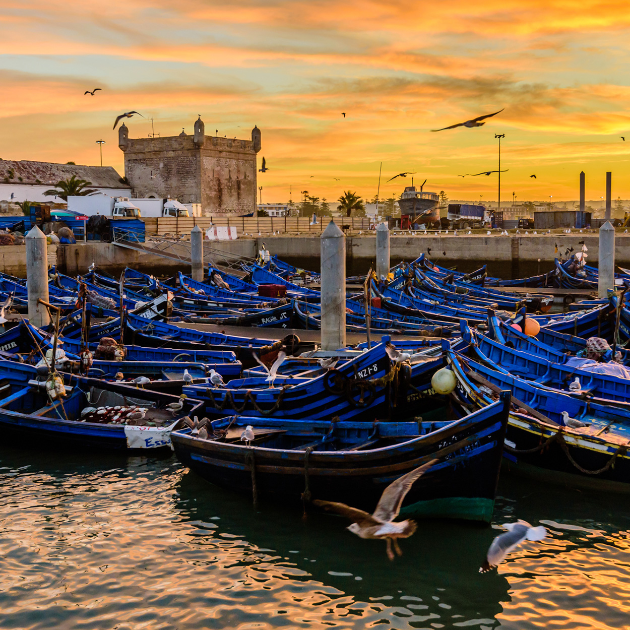 Essaouira