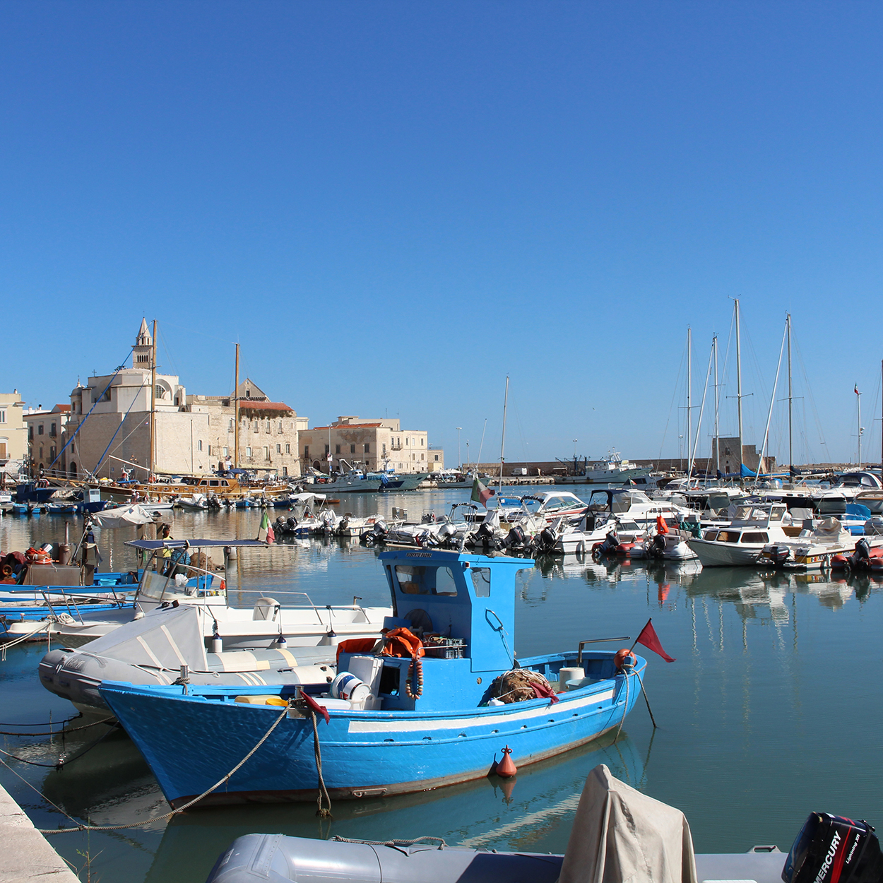 Bari